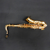 Brass Instrument